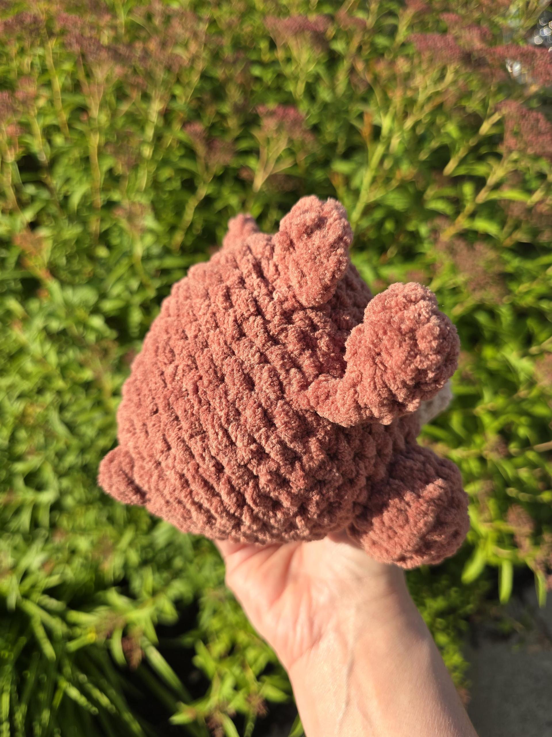 Yukon the Bear Plushie thumbnail 9
