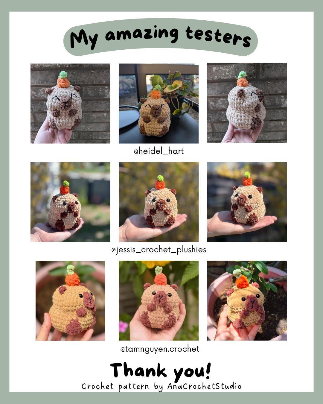 Crocodile and Capybara No - Low sew PDF Crochet pattern Chubby Amigurumi thumbnail 5